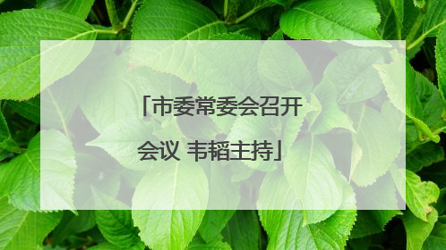 市委常委会召开会议 韦韬主持